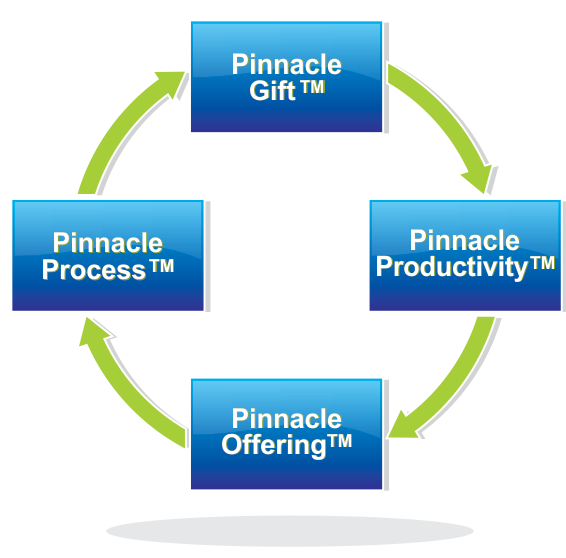 A diagram showing the pinnacle success process