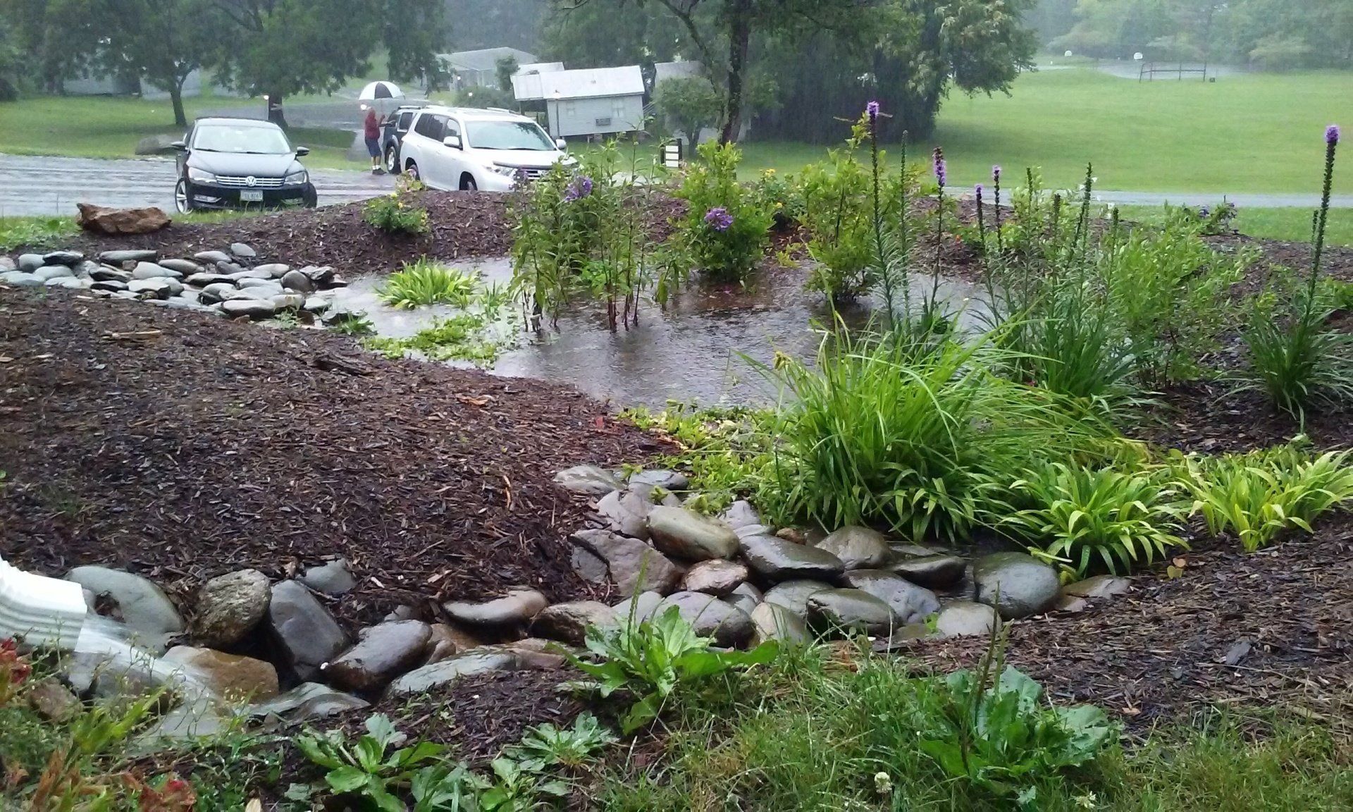 Custom Rain Garden Example | R & S Property Services