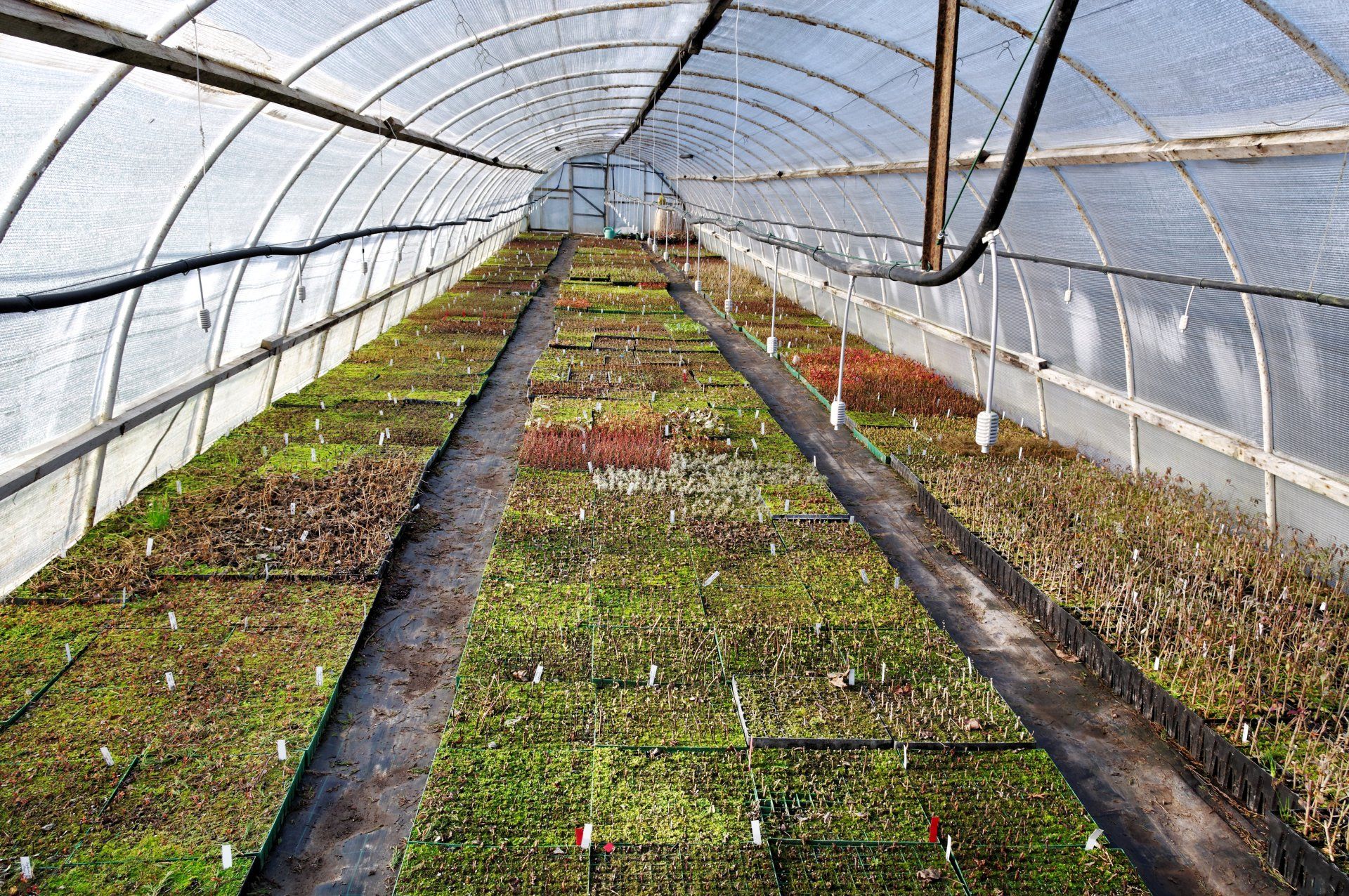Services Designed To Help You Grow The Best Produce Or Provide The Best Quality Water For Your Livestock | Gibson's WaterCare