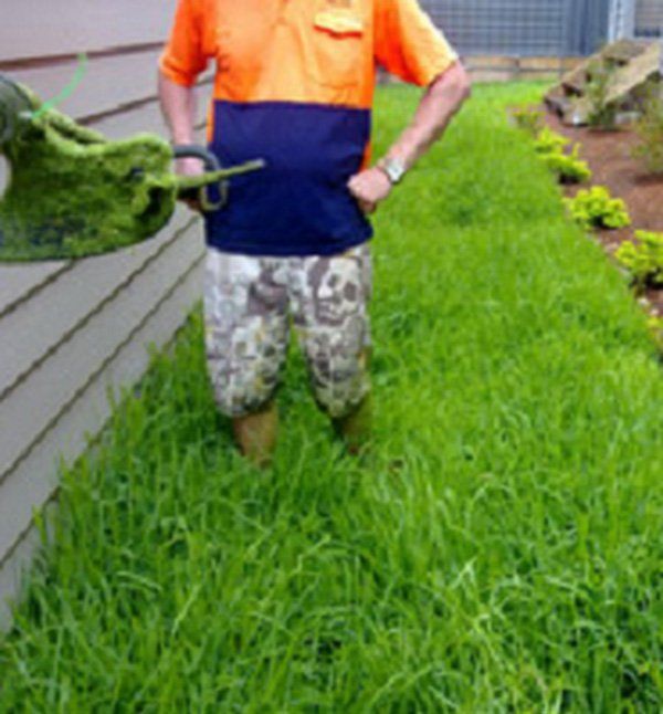 man on grass