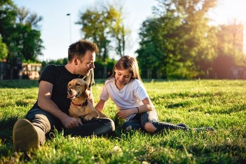 Sitting on Lawn — Oldsmar, FL — The Spray Doctor Sitting on Lawn — Oldsmar, FL — The Spray Doctor