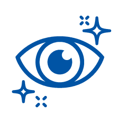 icon of eye