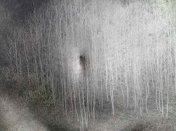 Trump Turnberry III by Natalia Lewandowska © Trump Turnberry Natalia Lewandowska © Triptych painting @natalia.lewandowska.art @natalia.lew.andowska saatchi portfolio swimming pool water yellow kerb water bottle Trump Ice weeds black background yellow