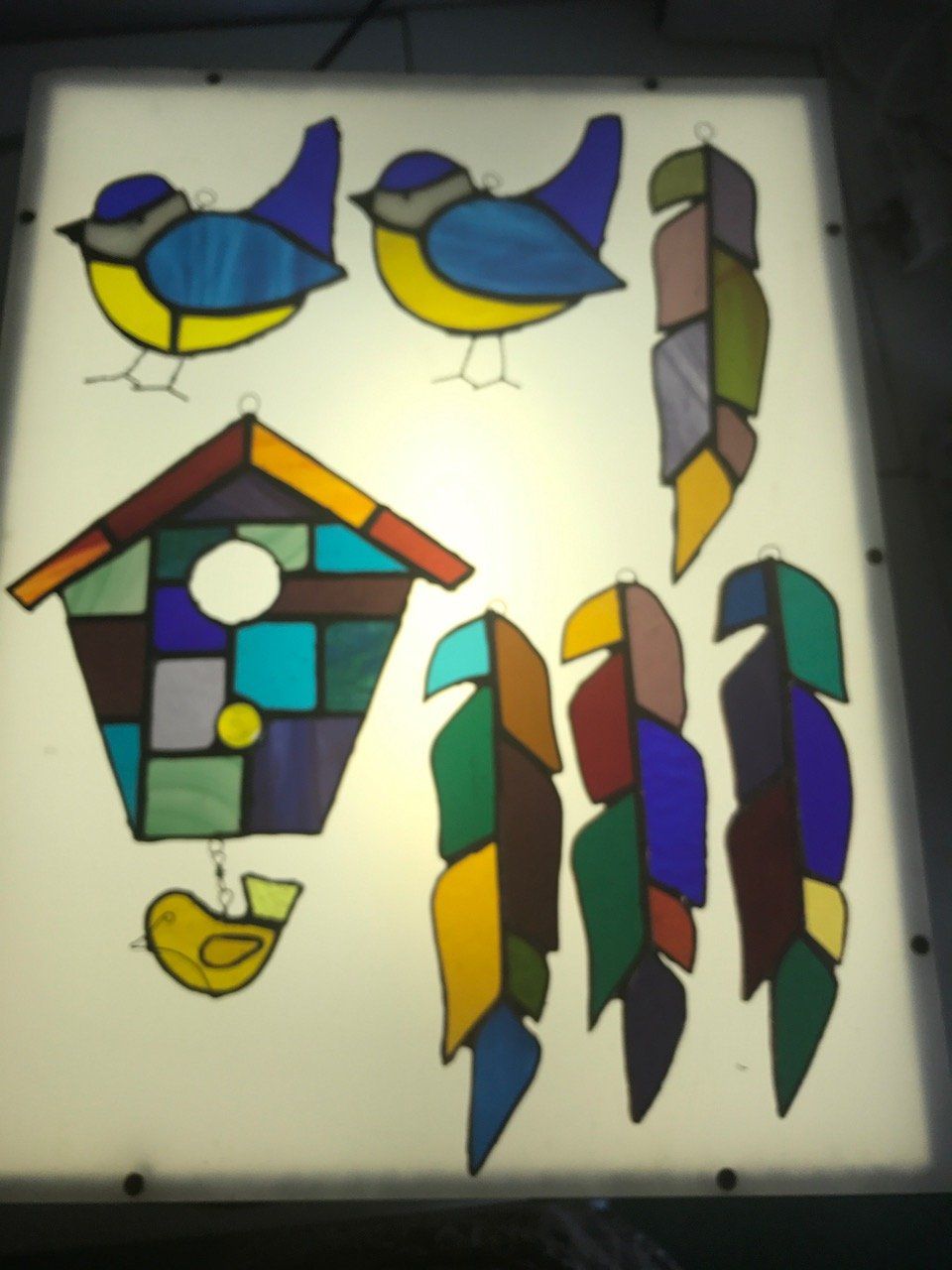Birds and feathers