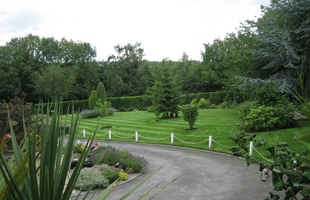 garden maintenance