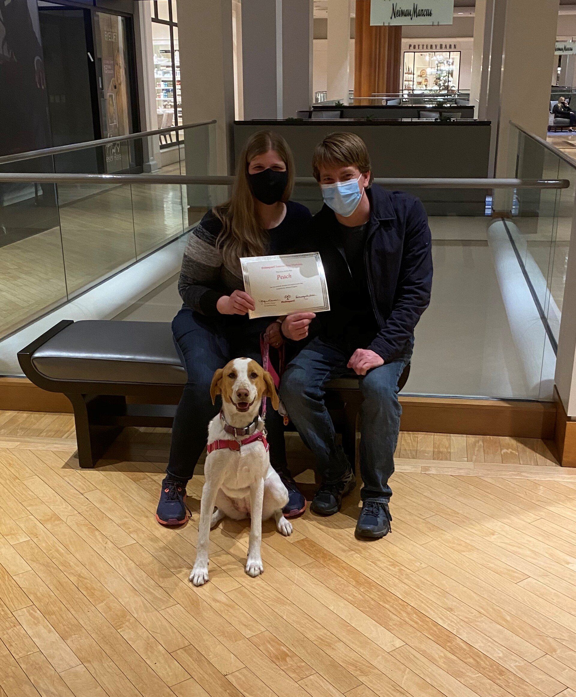 Two people and a dog seated on a bench in a mall, holding a sign. They wear masks.