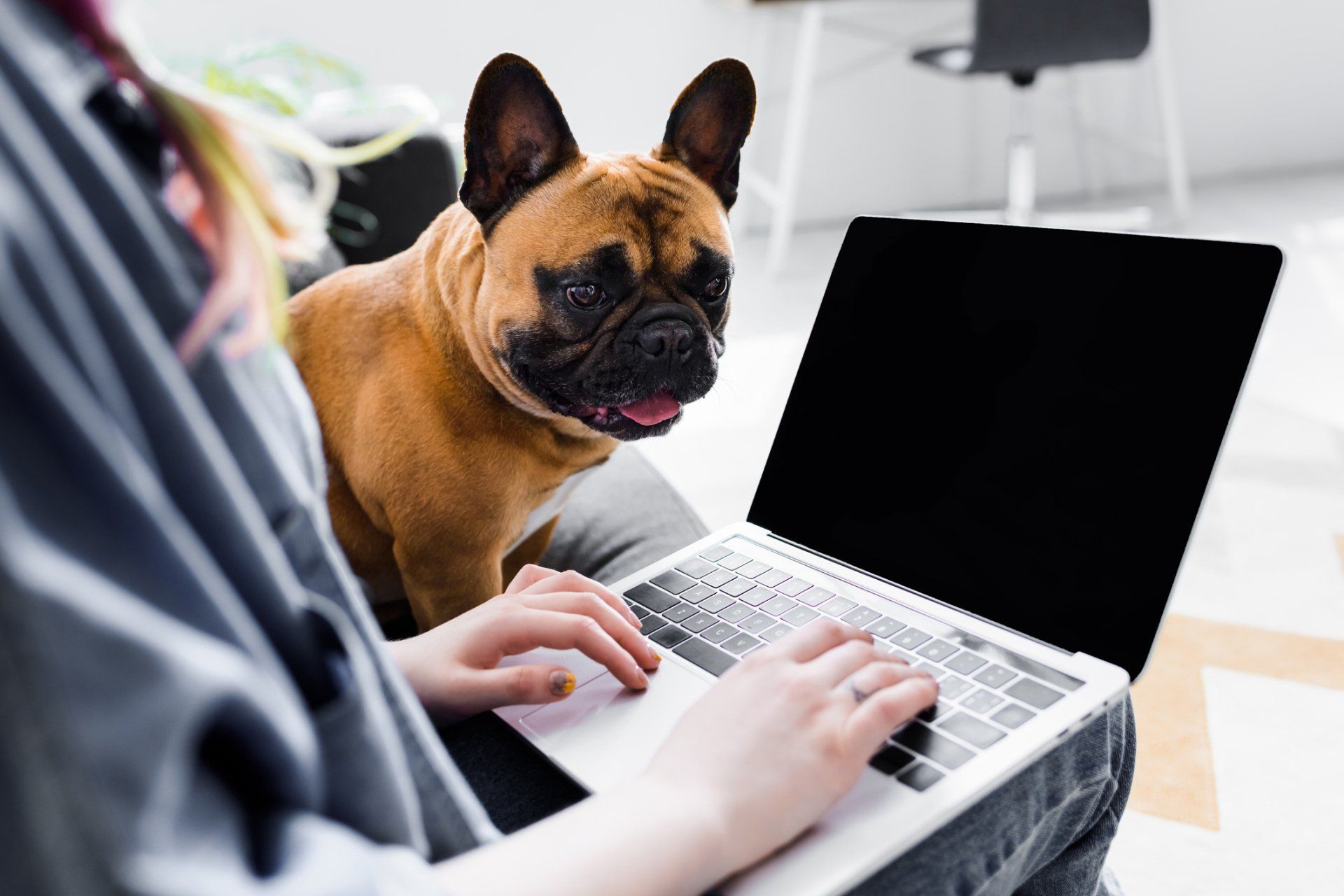 Pet by Side While Working From Home
