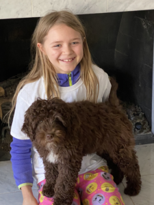 Girl smiling, holding brown curly-haired puppy with white chest. Fireplace in background.