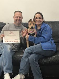 Couple on a couch with a dog; man holds certificate, woman holds dog, and all are smiling.