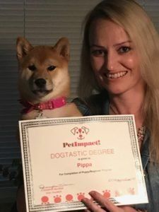Woman smiling with a Shiba Inu dog wearing a pink collar; holding a
