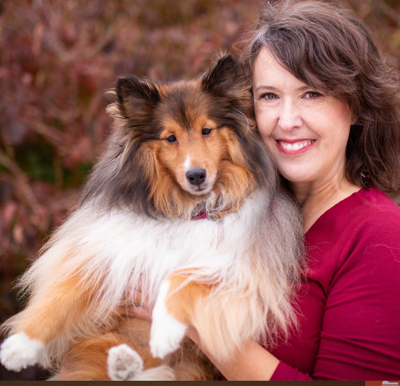 Woman with a smiling expression holding a Sheltie dog outdoors with fall foliage.
