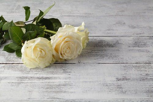 fiori gialli su legno