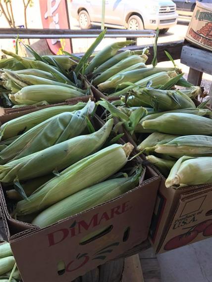 Corn