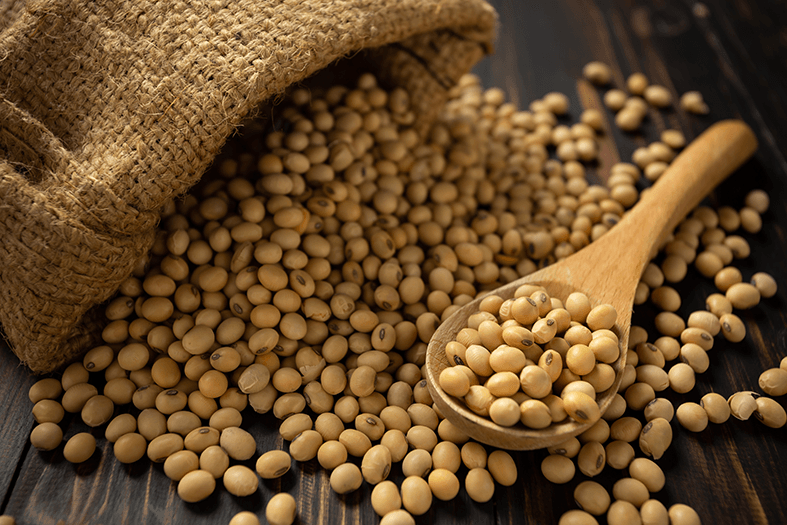 soja soy  corn milho GMO Non-GMO