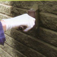 Dry rot - Swindon, Wiltshire - Damprot Renovations Ltd - Basement Dry rot - Swindon, Wiltshire - Damprot Renovations Ltd - Basement