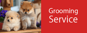 Choose Puppy Love Mobile Pet Grooming for Pet Grooming Services in Baltimore MD Pet Grooming Service in Baltimore MD