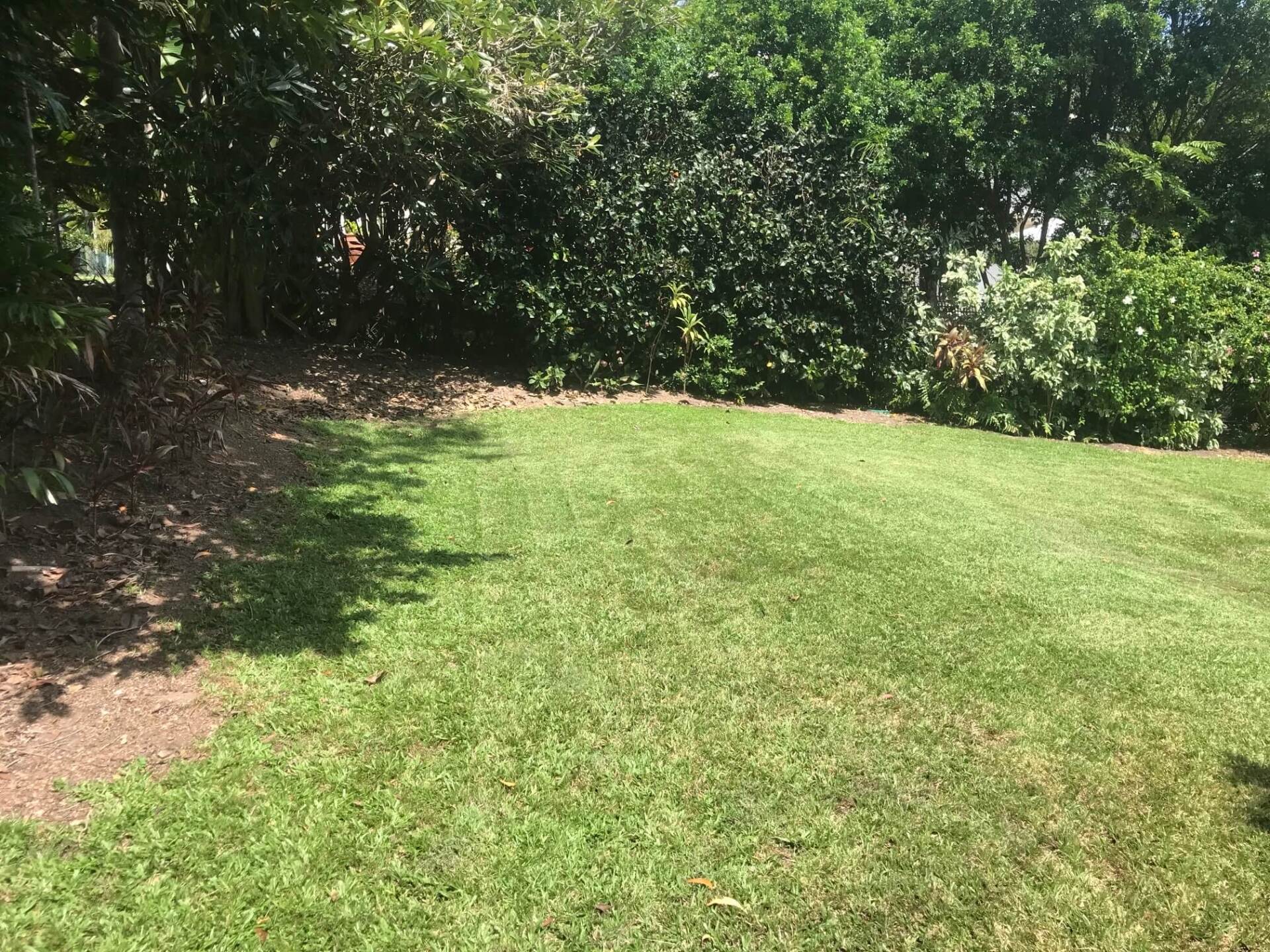 Garden Maintenance 5 – Garden Maintenance in Darwin River, NT