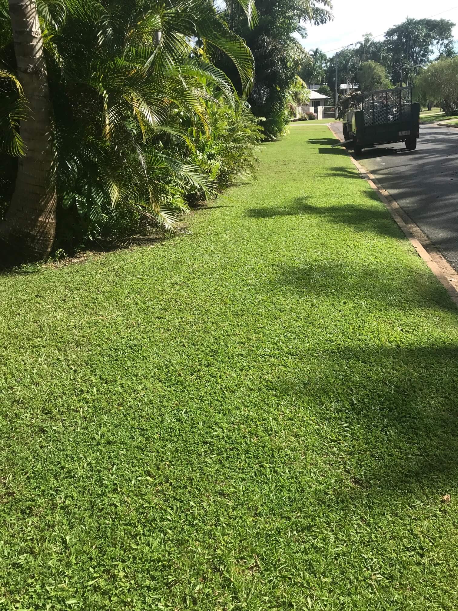 Garden Maintenance 1 – Garden Maintenance in Darwin River, NT