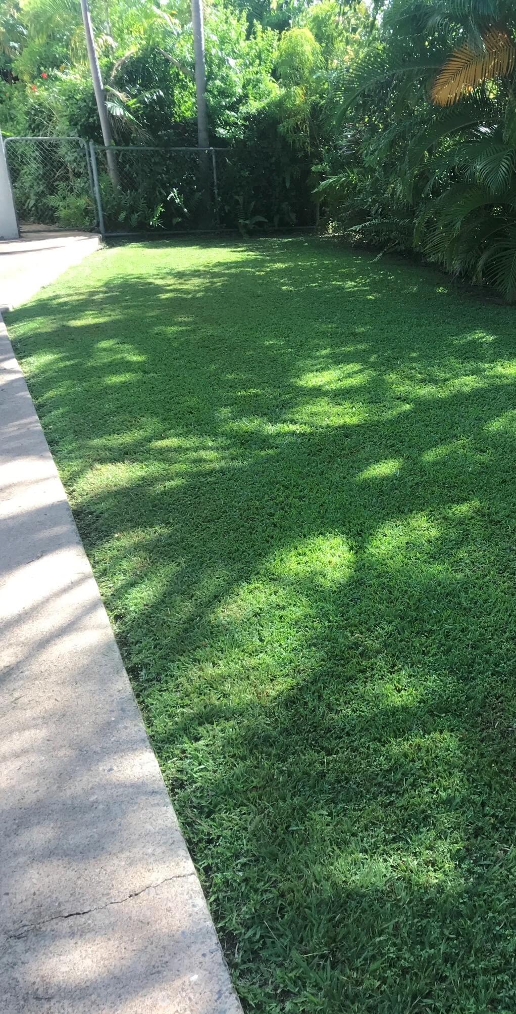 Garden Maintenance 4 – Garden Maintenance in Darwin River, NT