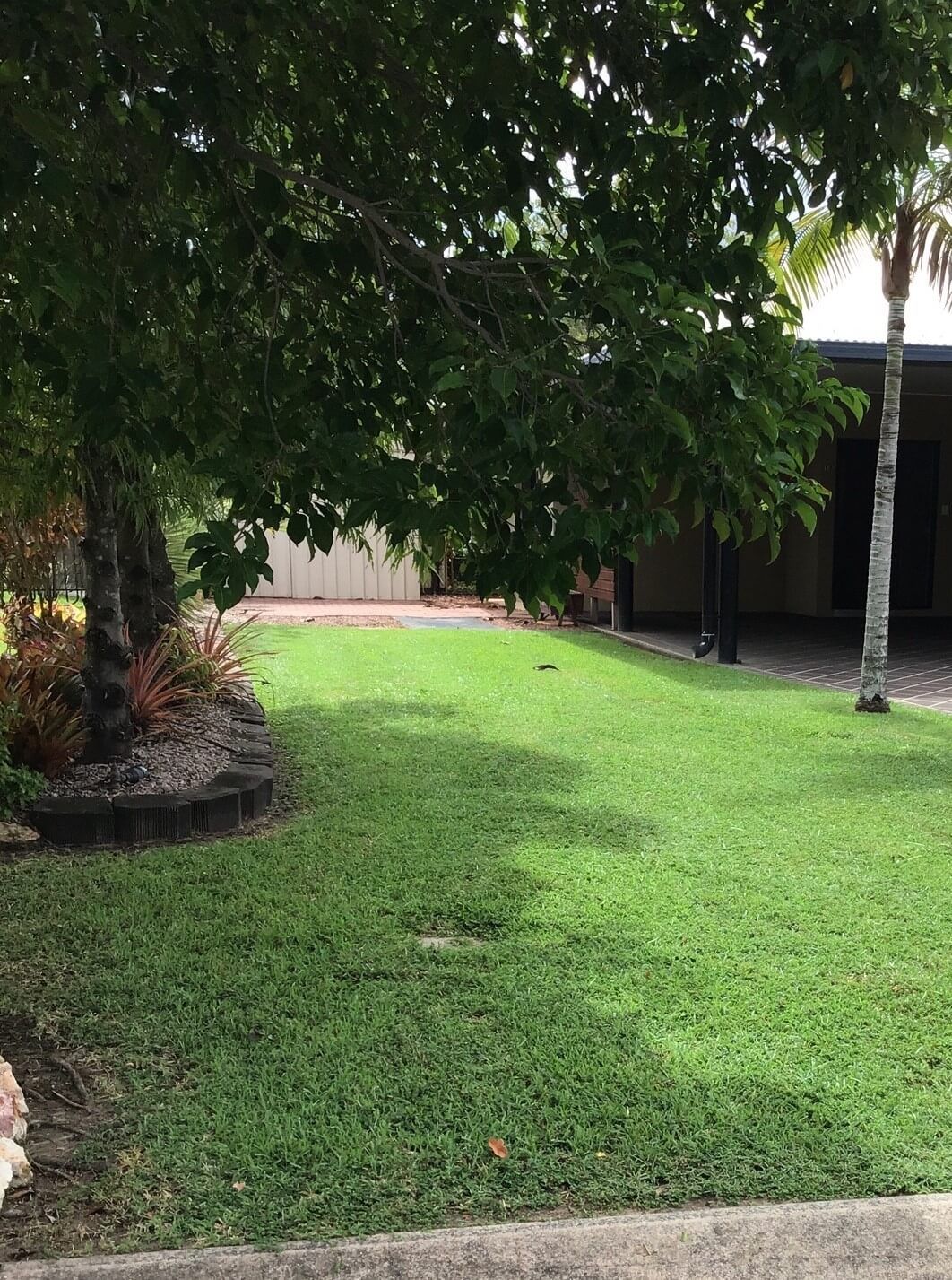 Garden Maintenance 17 – Garden Maintenance in Darwin River, NT