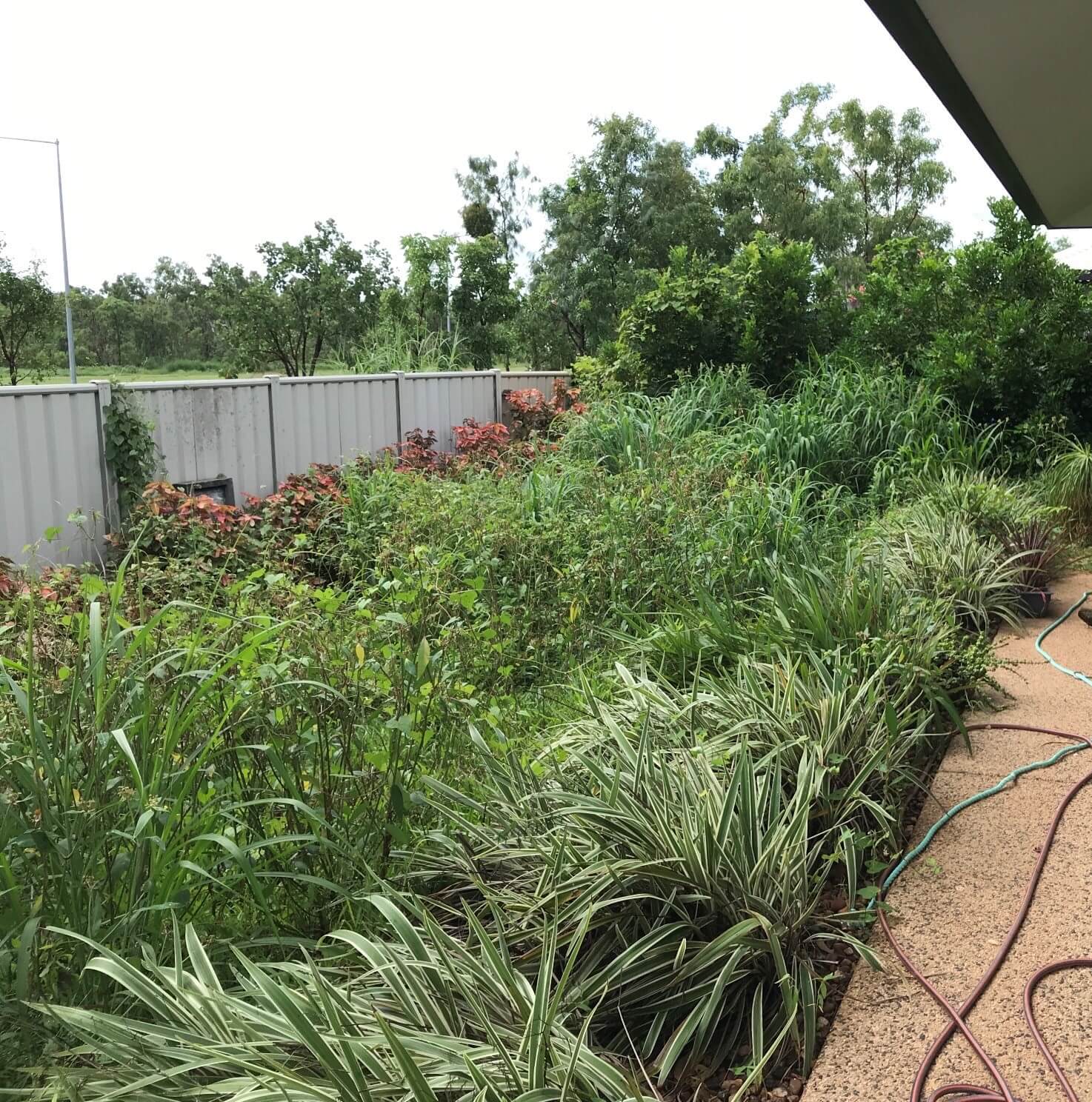 Garden Maintenance 16 – Garden Maintenance in Darwin River, NT