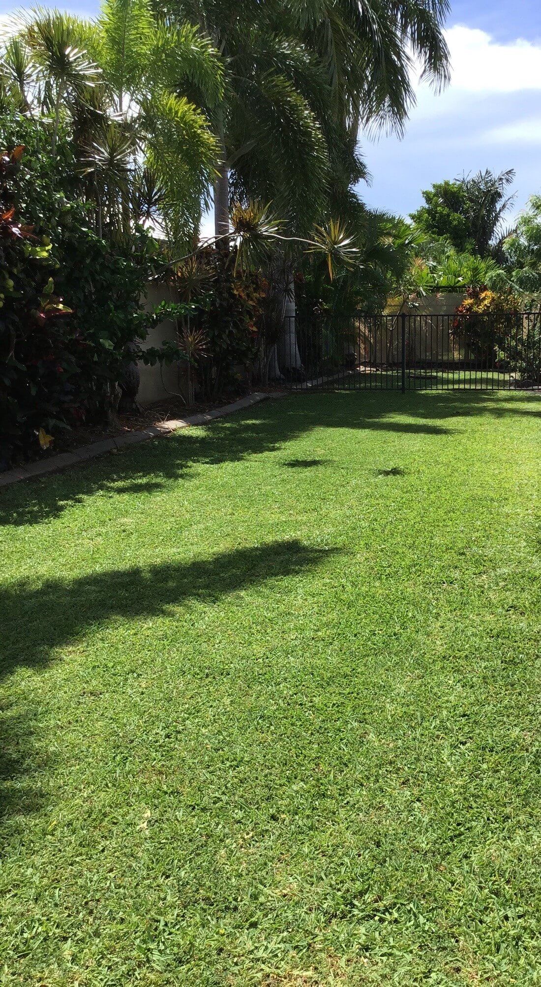 Garden Maintenance 9 – Garden Maintenance in Darwin River, NT