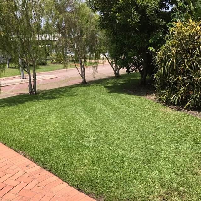 Garden Maintenance 3 – Garden Maintenance in Darwin River, NT