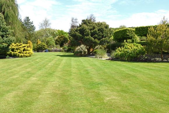 Garden Meadow Lawn Cutting — Garden Maintenance in Yarrawonga, NT