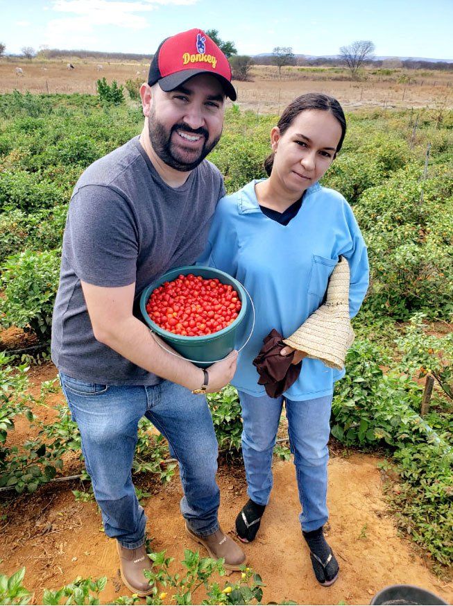Duas pessoas com balde cheio de pimenta biquinho
