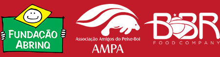 Responsabilidade social