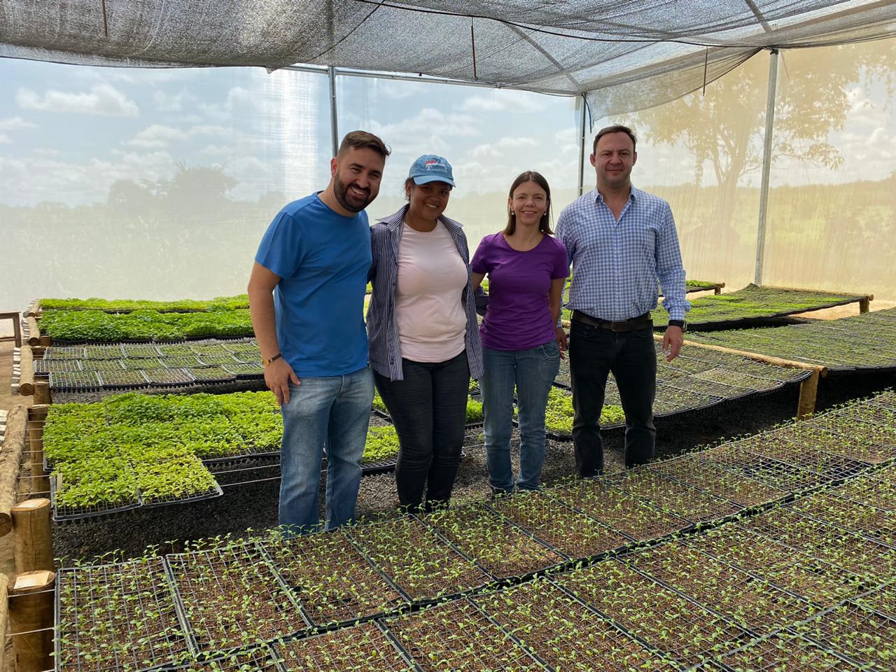 Pessoas na plantação de pimenta