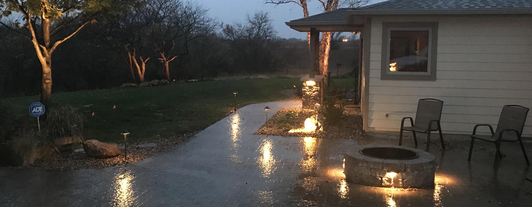 Landscape lighting showcasing unique trees and some hosta plants.
