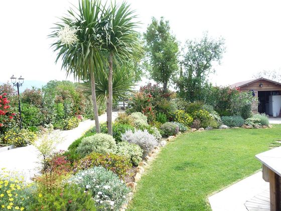 piante fiorite in ampio giardino