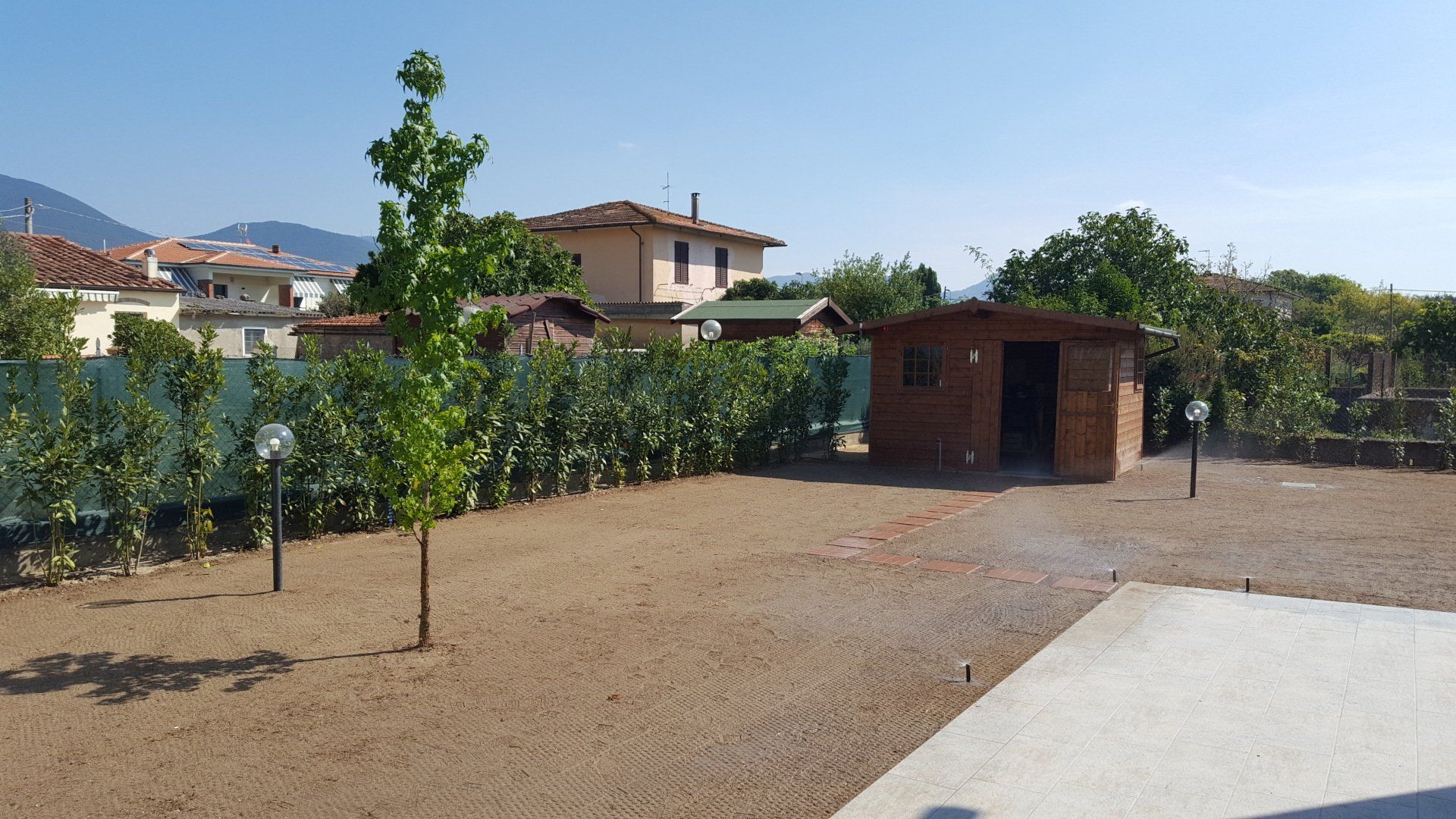 alberi ornamentali