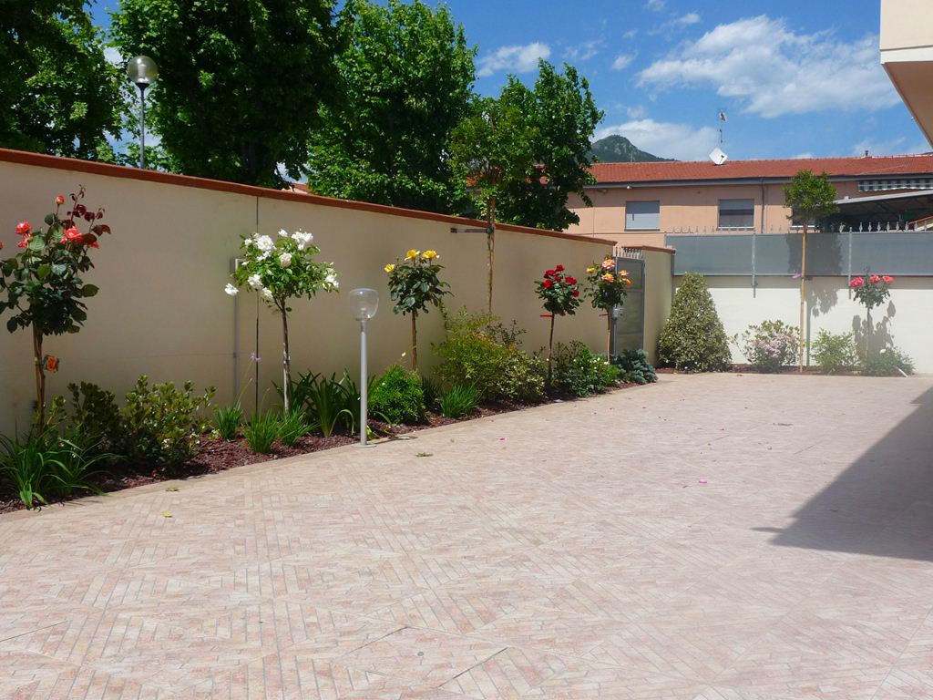 alberi e piante mura esterne di casa