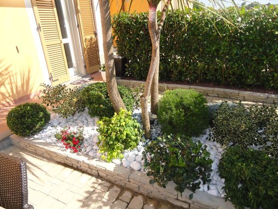 aiuola con pietre e piante