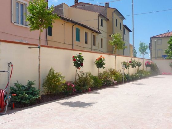 muro di recinzione di una villa con piante in fiore