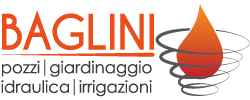 BAGLINI POZZI-LOGO