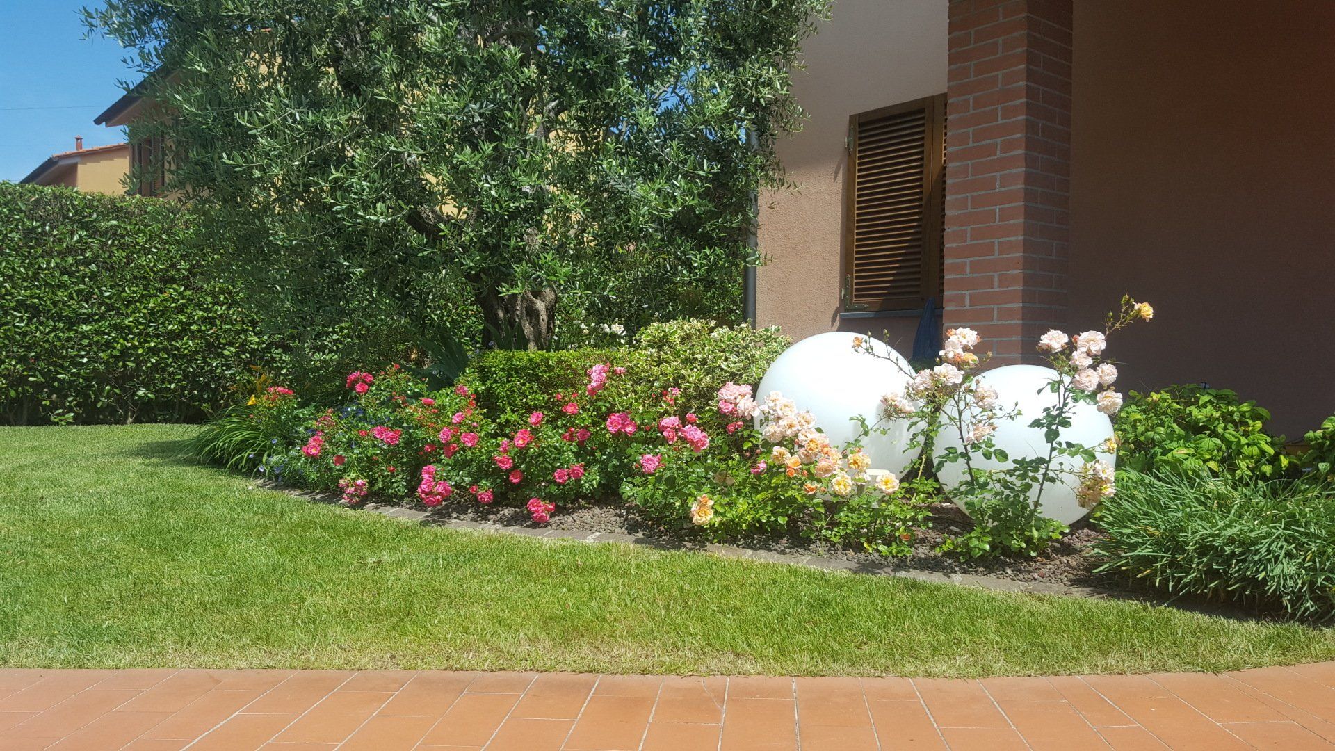 aiuola in fiore in una casa con giardino
