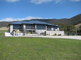 back yard of modern home