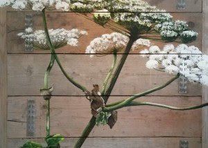 Een vogel zit op groene takken met witte bloemen tegen een beige muur.