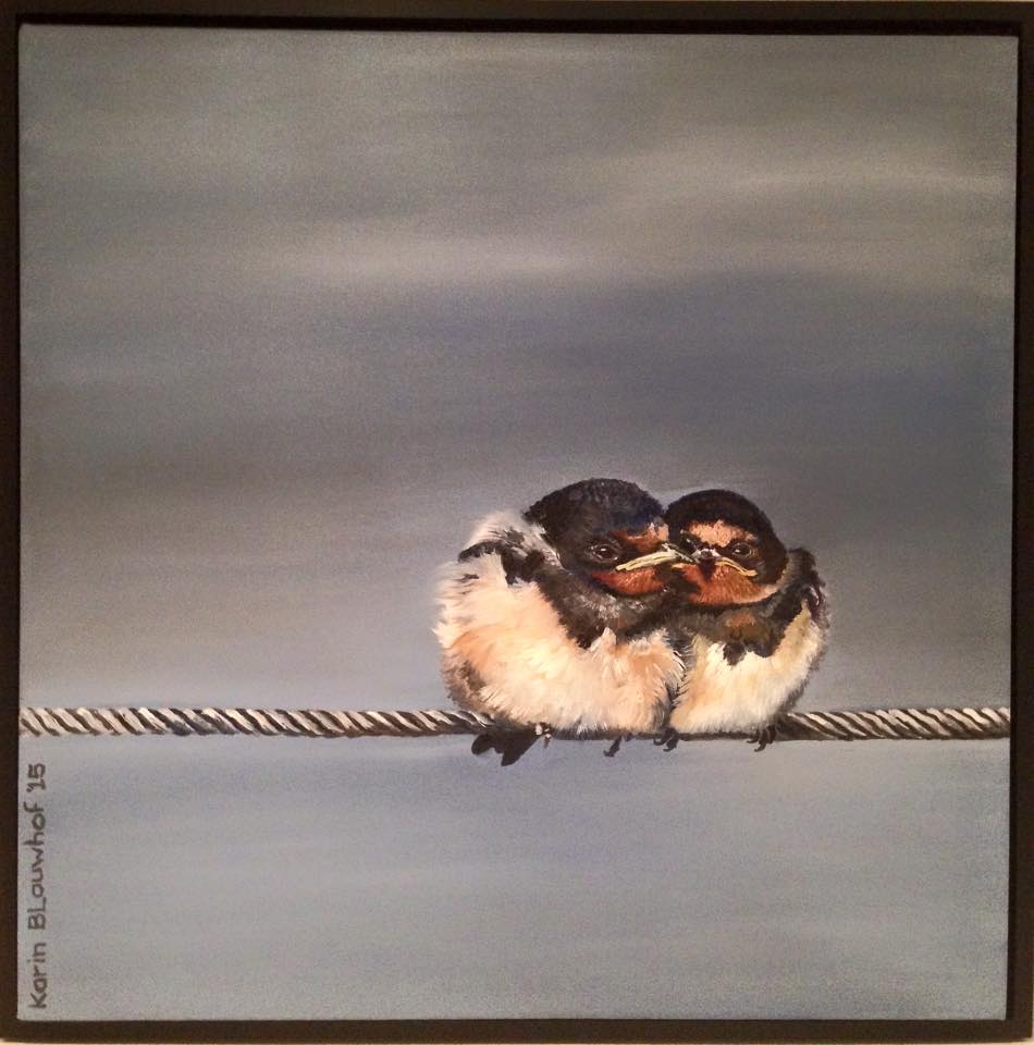 Twee pluizige vogels dicht tegen elkaar aan op een touw tegen een grijze hemel.