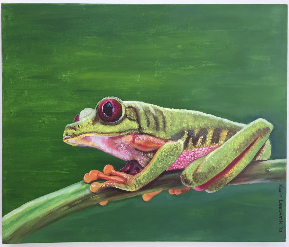 Een kleurrijke kikker met grote rode ogen zit op een tak tegen een groene achtergrond.