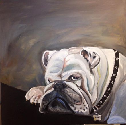 Witte bulldog rustend op een donkere ondergrond, met een zwarte halsband met sterren, tegen een grijsbruine achtergrond.