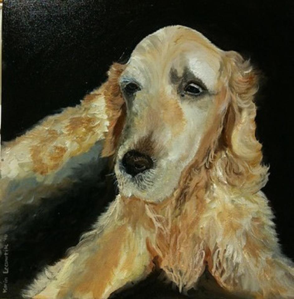 Portret van een gouden cocker spaniel op een zwarte achtergrond, met zachte, golvende vacht en een kalme uitdrukking.