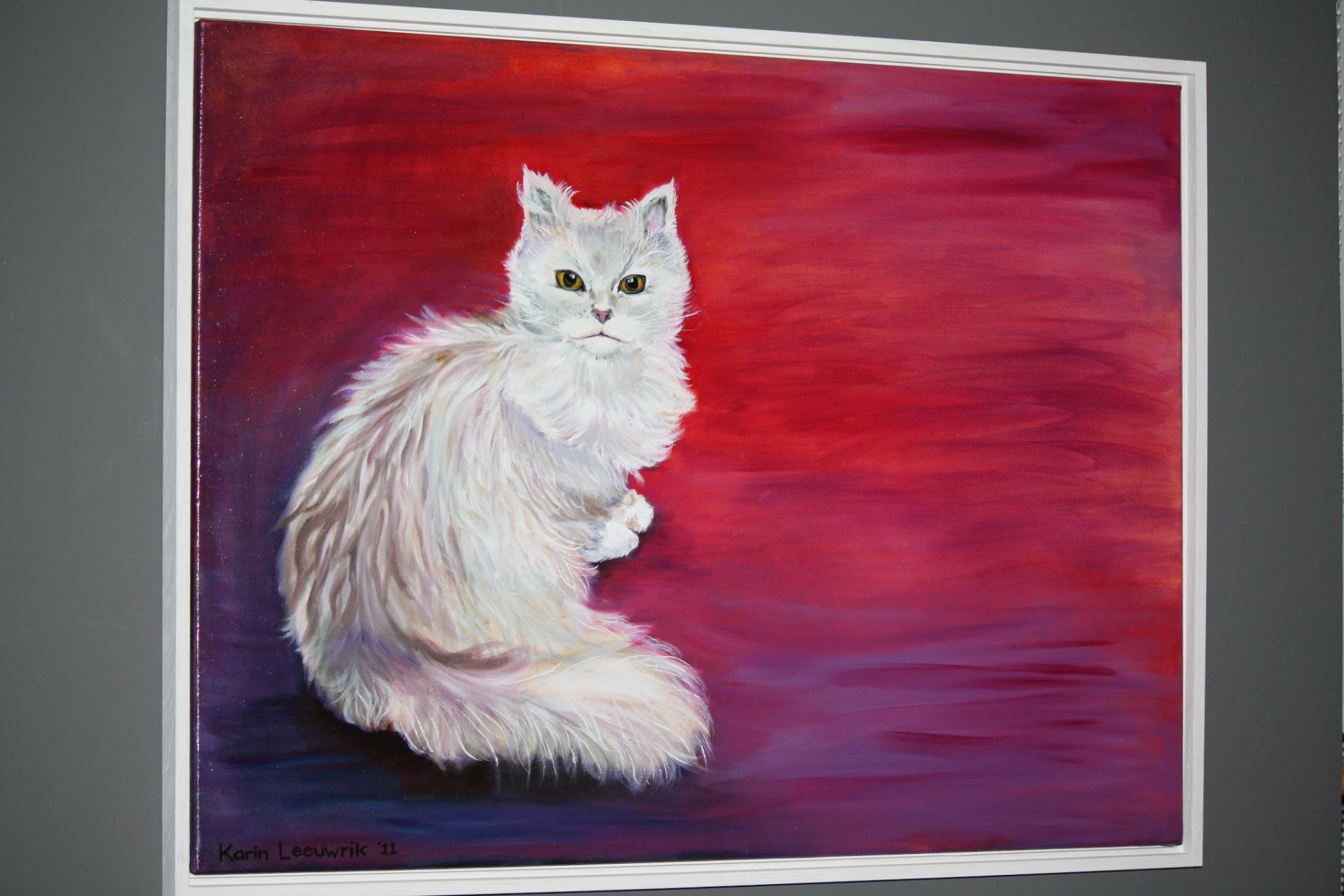 Een witte, pluizige kat zit op een rood-paars geschilderde achtergrond.