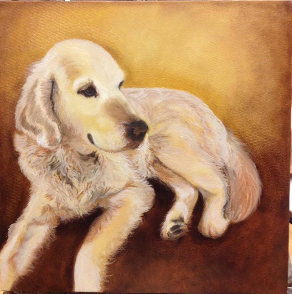 Crèmekleurige hond, liggend op een warme bruine achtergrond, kijkt naar links.