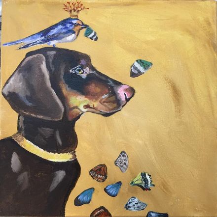 Zwarte hond met gouden halsband en blauwe vogel op zijn kop tegen een gele achtergrond