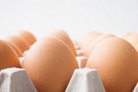 wholesale eggs - Bournemouth, Dorset - Claytons Eggs - wholesale eggs - Bournemouth, Dorset - Claytons Eggs -