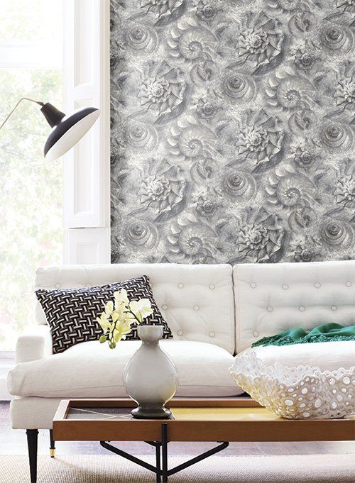 Coastal Clam - Opulent Shell Gray
